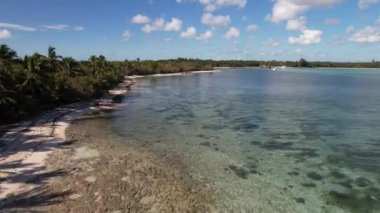 Dominik Cumhuriyeti Punta Cana, güzel Karayip deniz kıyıları turkuvaz suyu ve palmiye ağaçları, üst manzara