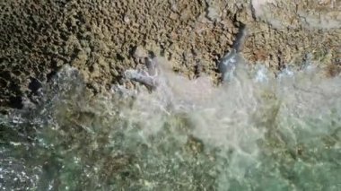 Dominik Cumhuriyeti Punta Cana, güzel Karayip deniz kıyıları turkuvaz suyu ve palmiye ağaçları, üst manzara
