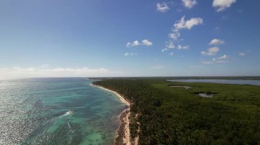 Dominik Cumhuriyeti Punta Cana, güzel Karayip deniz kıyıları turkuvaz suyu ve palmiye ağaçları, üst manzara