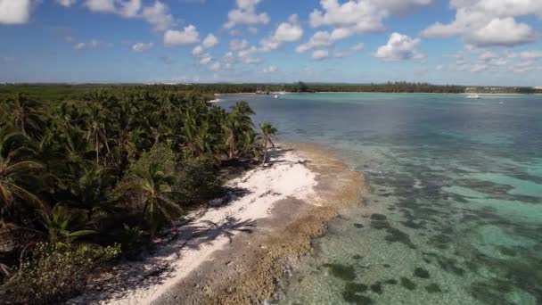 Δομινικανή Δημοκρατία Punta Cana Όμορφη Ακτή Της Καραϊβικής Γαλαζοπράσινα Νερά — Αρχείο Βίντεο