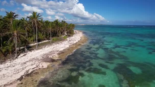 Dominicaanse Republiek Punta Cana Prachtige Caribische Kust Met Turquoise Water — Stockvideo