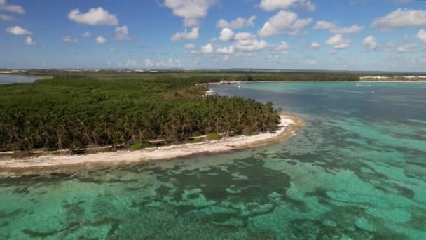 ドミニカ共和国プンタカナ ターコイズブルーの水とヤシの木がある美しいカリブ海の海岸 トップビュー — ストック動画