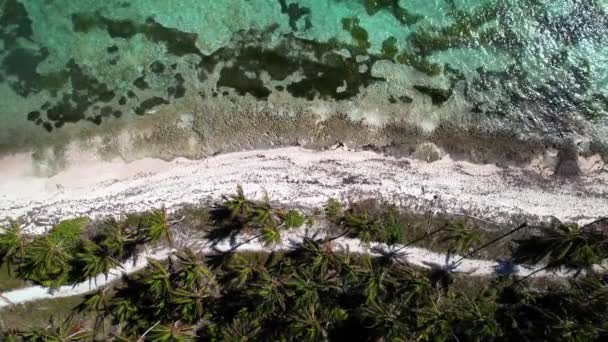Repubblica Dominicana Punta Cana Bellissima Costa Caraibica Con Acqua Turchese — Video Stock