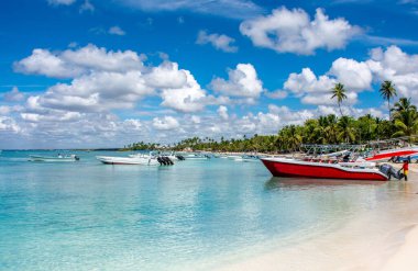 Dominik Cumhuriyeti, turkuaz suyu ve palmiye ağaçları olan güzel Karayip kıyıları.