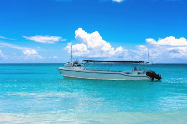 Dominik Cumhuriyeti, turkuaz suyu ve palmiye ağaçları olan güzel Karayip kıyıları.