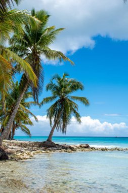 Dominik Cumhuriyeti, turkuaz suyu ve palmiye ağaçları olan güzel Karayip kıyıları.