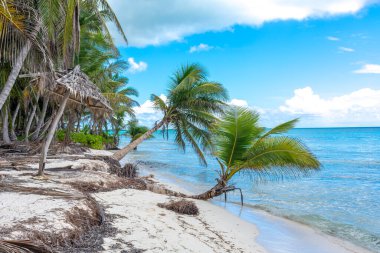 Dominik Cumhuriyeti, turkuaz suyu ve palmiye ağaçları olan güzel Karayip kıyıları.