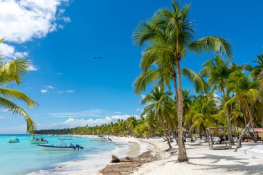 Dominik Cumhuriyeti, turkuaz suyu ve palmiye ağaçları olan güzel Karayip kıyıları.