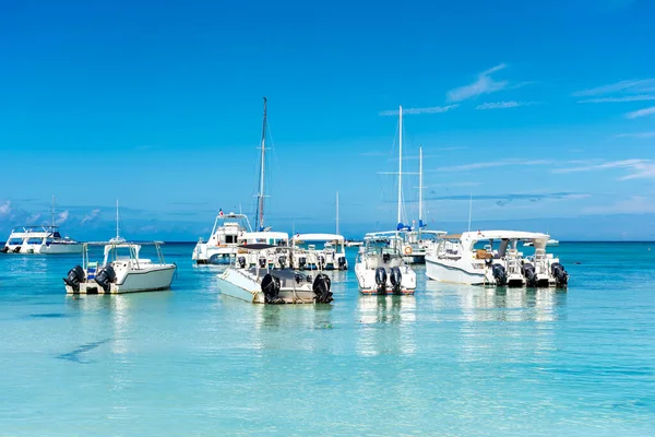 Dominikana Piękne Wybrzeże Karaibów Turkusową Wodą Palmami — Zdjęcie stockowe