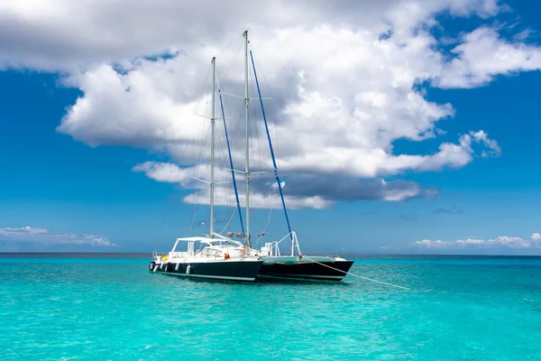 Dominikanische Republik Schöne Karibikküste Mit Türkisfarbenem Wasser Und Palmen — Stockfoto