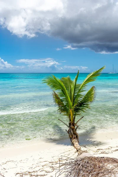 República Dominicana Hermosa Costa Caribeña Con Aguas Turquesas Palmeras — Foto de Stock
