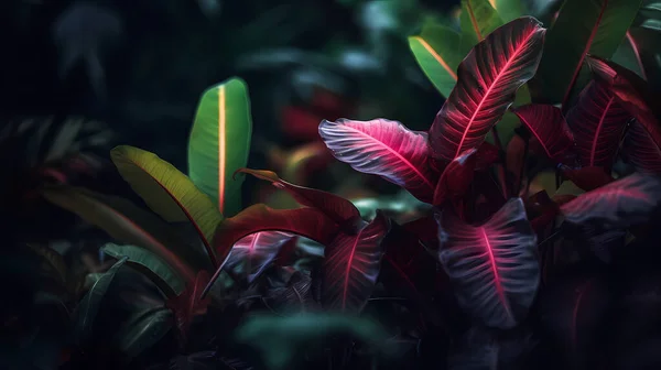 熱帯雨林の緑豊かな植生背景画像 — ストック写真