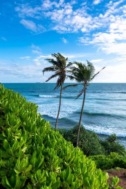 Sri Lanka adasındaki güzel Hint Okyanusu kıyısı, Mirissa.