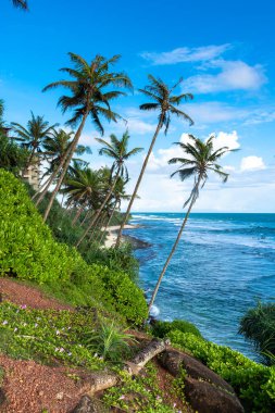 Sri Lanka adasındaki güzel Hint Okyanusu kıyısı, Mirissa.