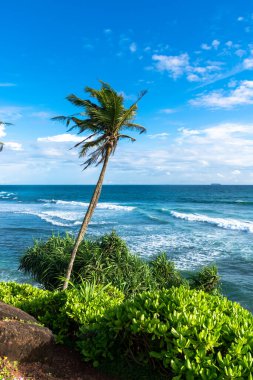 Sri Lanka adasındaki güzel Hint Okyanusu kıyısı, Mirissa.