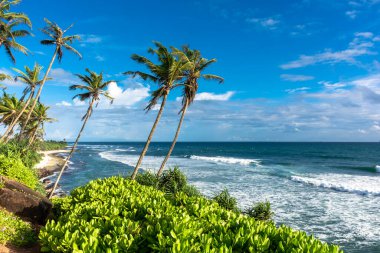 Sri Lanka adasındaki güzel Hint Okyanusu kıyısı, Mirissa.