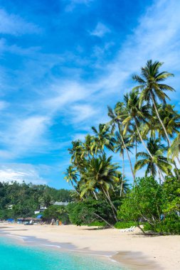 Sri Lanka adasındaki güzel Hint Okyanusu kıyısı, Mirissa.