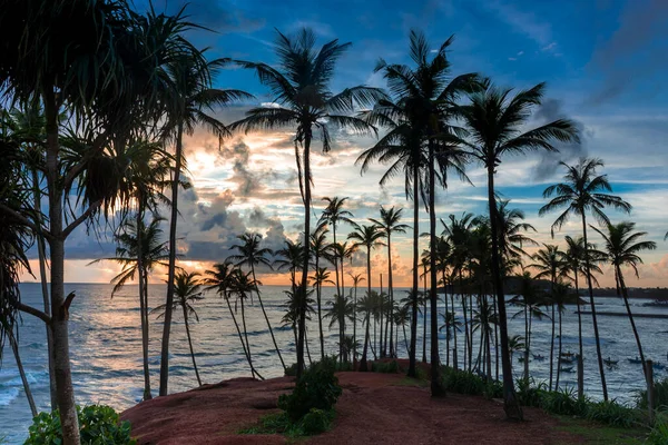 Vacker Solnedgång Indiska Oceanens Kust Sri Lanka Mirissa Royaltyfria Stockfoton