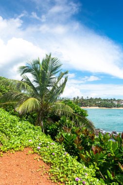 Sri Lanka adasındaki güzel Hint Okyanusu kıyısı, Mirissa.