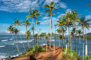 Sri Lanka adasındaki güzel Hint Okyanusu kıyısı, Mirissa.