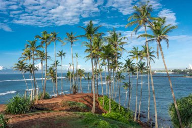 Sri Lanka adasındaki güzel Hint Okyanusu kıyısı, Mirissa.