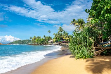 Sri Lanka adasındaki güzel Hint Okyanusu kıyısı, Mirissa.