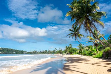 Sri Lanka adasındaki güzel Hint Okyanusu kıyısı, Mirissa.