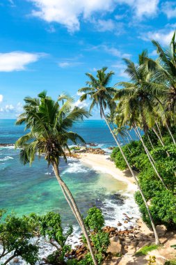 Sri Lanka adasındaki güzel Hint Okyanusu kıyısı, Mirissa.