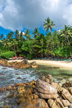 Sri Lanka adasındaki güzel Hint Okyanusu kıyısı, Mirissa.