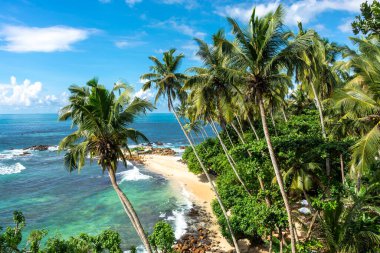 Sri Lanka adasındaki güzel Hint Okyanusu kıyısı, Mirissa.