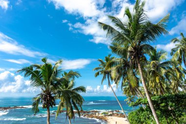 Sri Lanka adasındaki güzel Hint Okyanusu kıyısı, Mirissa.