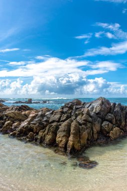 Sri Lanka adasındaki güzel Hint Okyanusu kıyısı, Mirissa.