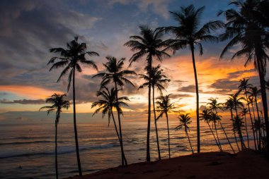 Hint Okyanusu kıyısında gün batımı Sri Lanka adasında, Mirissa.