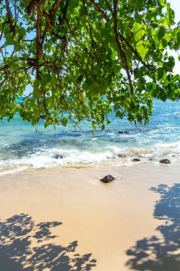 Sri Lanka adasındaki güzel Hint Okyanusu kıyısı, Dondra.