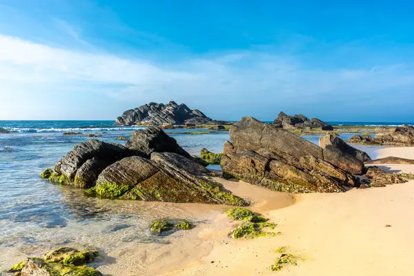 Unawatuna 'nın Sri Lanka adasındaki güzel Hint Okyanusu kıyısı.