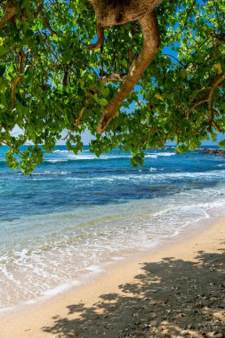 Sri Lanka adasındaki güzel Hint Okyanusu kıyısı, Dondra.