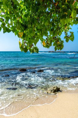 Sri Lanka adasındaki güzel Hint Okyanusu kıyısı, Dondra.