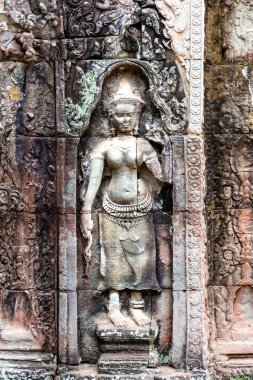 Kamboçya 'daki Ta Prohm tapınağının eski kalıntıları..