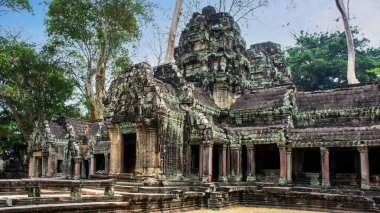 Kamboçya 'daki Ta Prohm tapınağının eski kalıntıları..