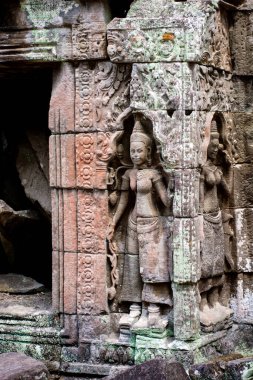 Kamboçya 'daki Ta Prohm tapınağının eski kalıntıları..