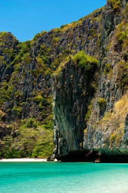 Tayland 'daki Phi Phi Ley adasındaki güzel Maya Körfezi plajı.