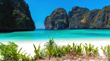 Tayland 'daki Phi Phi Ley adasındaki güzel Maya Körfezi plajı.