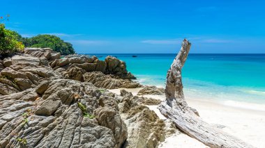 Patong yakınlarındaki Phuket Adası 'nda güzel Özgürlük Kumsalı.