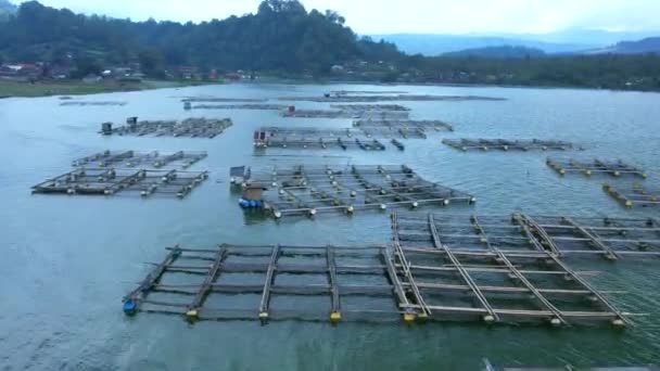 Fish Farms Lake Batur Island Bali Indonesia Top View Aerial — Stock Video