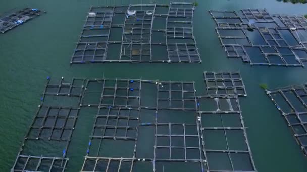Рыбные Фермы Озере Батур Острове Бали Индонезии Вид Сверху Аэровидеосъемка — стоковое видео