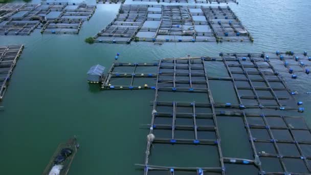 印度尼西亚巴厘岛巴图尔湖的养鱼场 顶视图 航拍录像 — 图库视频影像