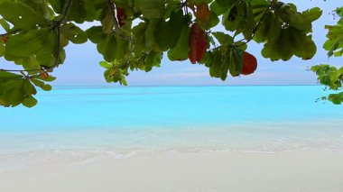 Maldivler, Fulhadhoo Adası 'nda beyaz plajlı güzel doğa.