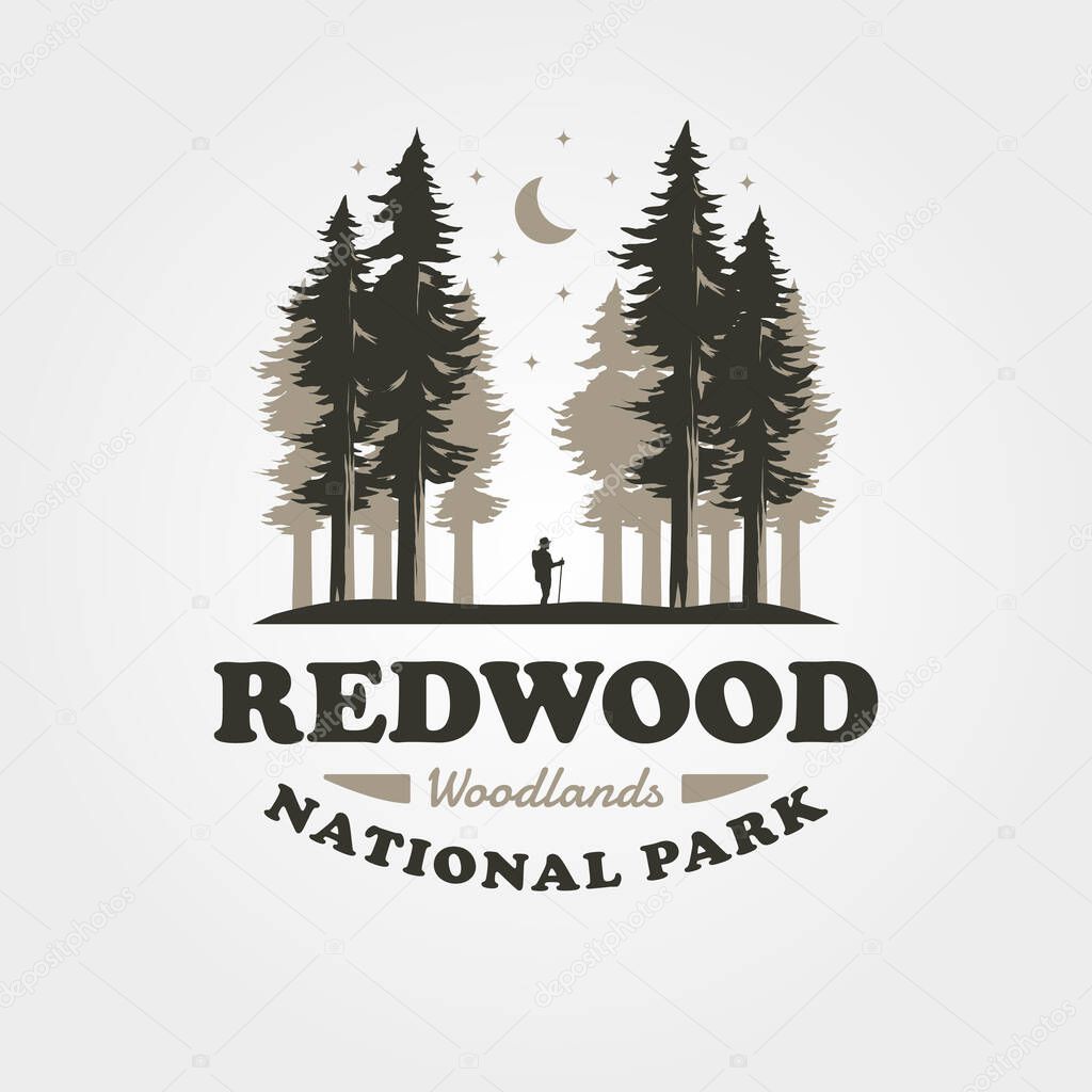 Redwood vintage outdoor logo vector design, woodland symbol illustration design