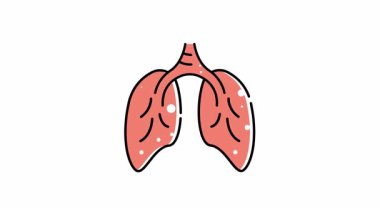 İnsan akciğerlerinin canlandırma ikonu. Canlı bir illüstrasyon insan akciğerlerinin karmaşıklığını ve güzelliğini gösteriyor. Tıp, sağlık ve eğitim tasarımları ve içeriği için mükemmel.