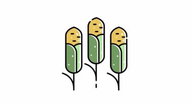 Animasyon simgesi. Üç mısır tanesi dairesel bir düzende dizilmiş. Yiyecek tarımı, çiftçi pazarı, sonbahar hasadı, organik tarım kavramları için ideal..